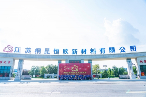 恒欣公司