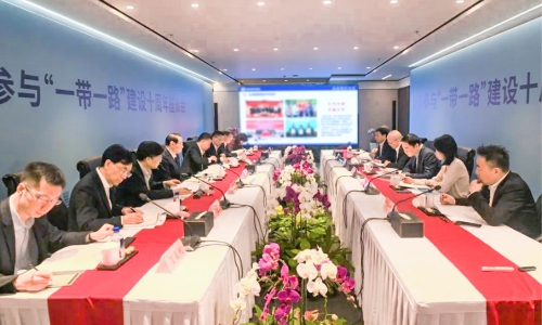 浙商参加“一带一路”建设10周年座谈会召开，陈蕾董事长受邀参会并作主题讲话