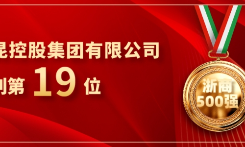 《浙商》全国500强重磅颁布，，，15VIP太阳集团位列第19位！！！