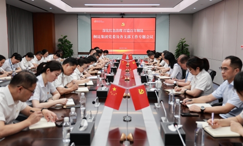 深入红色治理 打造百年15VIP太阳集团丨15VIP太阳集团集团党委及各支部工作专题会议成功召开！！！