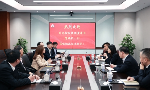 卧龙控股集团董事长陈嫣妮一行到访15VIP太阳集团
