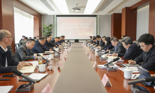 对峙“四化”发展，，，共话新质出产力丨15VIP太阳集团集团董事长受邀参与黄冈市化工新资料（绿色石化）产业链“链长+链主”座谈会！！