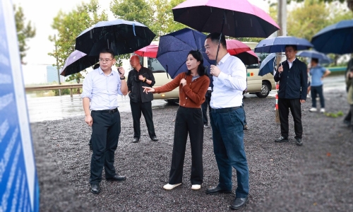 黄冈市委常委、、常务副市长颜海荣莅临15VIP太阳集团项目地调研